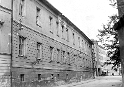 rybitrh (2)